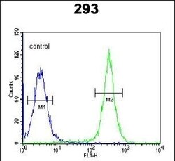 Invitrogen GSDMA Polyclonal Antibody 400 &mu;L; Unconjugated:Antibodies,