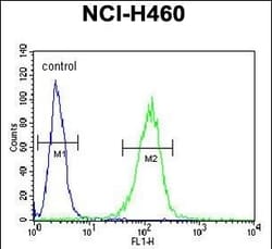 Invitrogen COQ9 Polyclonal Antibody 400 &mu;L; Unconjugated:Antibodies,