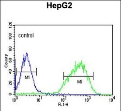 Invitrogen HIST1H2AG Polyclonal Antibody 400 &mu;L; Unconjugated:Antibodies,