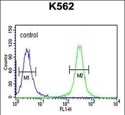 Invitrogen GRP94 Polyclonal Antibody 400 &mu;L; Unconjugated:Antibodies,