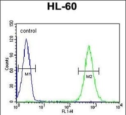 Invitrogen MICALL2 Polyclonal Antibody 400 &mu;L; Unconjugated:Antibodies,