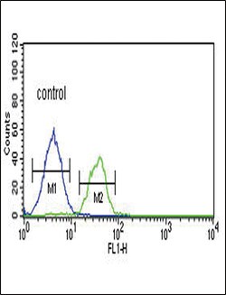 Invitrogen LRRN3 Polyclonal Antibody 400 &mu;L; Unconjugated:Antibodies,