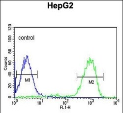 Invitrogen Opsin Green Polyclonal Antibody 400 &mu;L; Unconjugated:Antibodies,