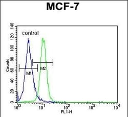 Invitrogen PSG7 Polyclonal Antibody 400 &mu;L; Unconjugated:Antibodies,