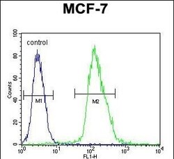 Invitrogen MFAP4 Polyclonal Antibody 400 &mu;L; Unconjugated:Anticuerpos