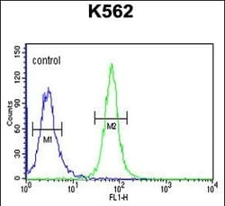 Invitrogen GTF2IRD2 Polyclonal Antibody 400 &mu;L; Unconjugated:Anticuerpos