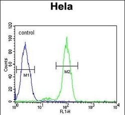 Invitrogen PTPLB Polyclonal Antibody 400 &mu;L; Unconjugated:Antibodies,