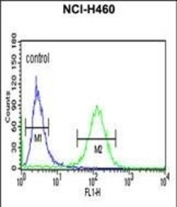 Invitrogen RAB27B Polyclonal Antibody 400 &mu;L; Unconjugated:Antibodies,