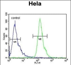 Invitrogen POTEH Polyclonal Antibody 400 &mu;L; Unconjugated:Antibodies,
