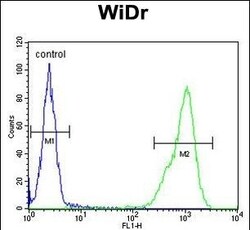 Invitrogen TPPP3 Polyclonal Antibody 400 &mu;L; Unconjugated:Antibodies,