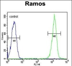 Invitrogen CMTM7 Polyclonal Antibody 400 μL; Unconjugated:Antibodies,