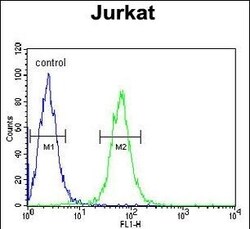 Invitrogen HVCN1 Polyclonal Antibody 400 &mu;L; Unconjugated:Antibodies,