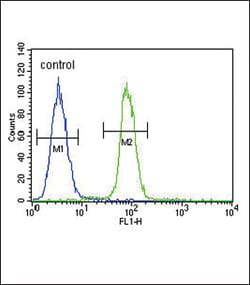 Invitrogen S100B Polyclonal Antibody 400 &mu;L; Unconjugated:Antibodies,