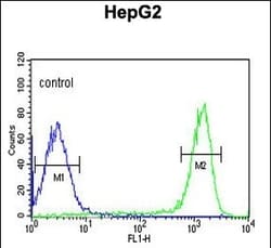 Invitrogen FAAH2 Polyclonal Antibody 400 &mu;L; Unconjugated:Antibodies,