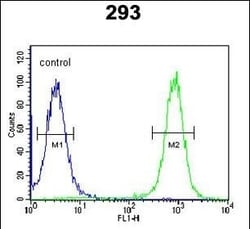 Invitrogen EPC2 Polyclonal Antibody 400 &mu;L; Unconjugated:Antibodies,