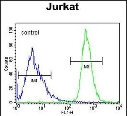 Invitrogen GPR41 Polyclonal Antibody 400 &mu;L | Buy Online | Invitrogen&trade; | Fisher Scientific