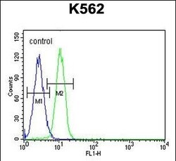 Invitrogen G6PC Polyclonal Antibody 400 &mu;L; Unconjugated:Antibodies,