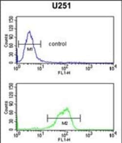 Invitrogen IL5RA Polyclonal Antibody 400 &mu;L; Unconjugated:Antibodies,