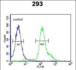 Invitrogen RSPO2 Polyclonal Antibody 400 &mu;L; Unconjugated:Antibodies,