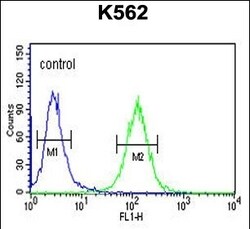 Invitrogen RTN4RL1 Polyclonal Antibody 400 &mu;L | Buy Online | Invitrogen&trade; | Fisher Scientific
