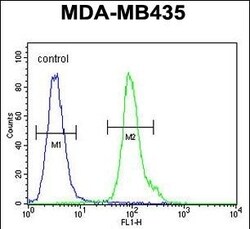 Invitrogen NPM3 Polyclonal Antibody 400 &mu;L; Unconjugated:Antibodies,