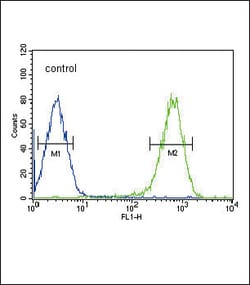 Invitrogen DLAT Polyclonal Antibody 400 &mu;L; Unconjugated:Antibodies,