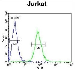 Invitrogen GGNBP2 Polyclonal Antibody 400 &mu;L; Unconjugated:Antibodies,