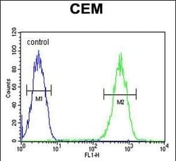 Invitrogen FADS2 Polyclonal Antibody 400 &mu;L; Unconjugated:Antibodies,