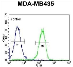 Invitrogen PYHIN1 Polyclonal Antibody 400 &mu;L; Unconjugated:Antibodies,