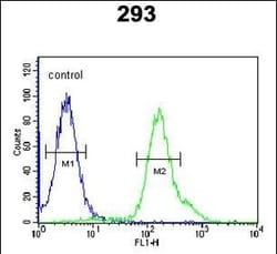 ARMC5 Polyclonal Antibody:Antibodies, Polyclonal