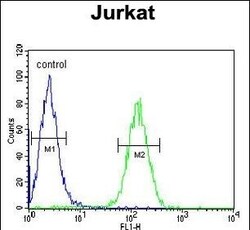 Invitrogen AXIN2 Polyclonal Antibody 400 &mu;L; Unconjugated:Antibodies,