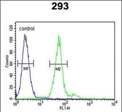 Invitrogen Tryptase Polyclonal Antibody 400 &mu;L; Unconjugated:Antibodies,