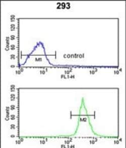 Invitrogen ATP11C Polyclonal Antibody 400 &mu;L; Unconjugated:Antibodies,