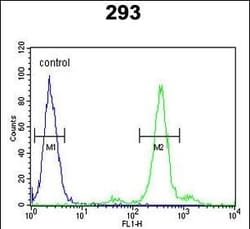 Invitrogen PGD Polyclonal Antibody 400 &mu;L; Unconjugated:Antibodies,
