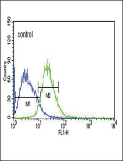 Invitrogen SLC25A1 Polyclonal Antibody 400 &mu;L; Unconjugated:Antibodies,