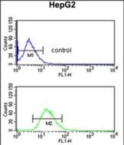 Invitrogen BLOC1S2 Polyclonal Antibody 400 &mu;L; Unconjugated:Antibodies,