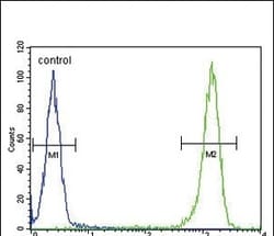 MC2R Polyclonal Antibody:Antibodies, Polyclonal