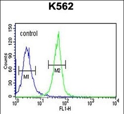 KRTAP1-1 Polyclonal Antibody:Antibodies, Polyclonal