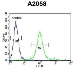 Invitrogen GOLT1A Polyclonal Antibody 400 &mu;L; Unconjugated:Antibodies,