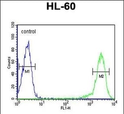 Invitrogen Calcitonin Receptor Polyclonal Antibody 400 μL; Unconjugated:Antibodies,
