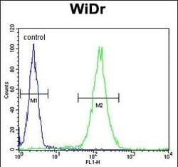 Invitrogen FBXO34 Polyclonal Antibody 400 &mu;L | Buy Online | Invitrogen&trade; | Fisher Scientific