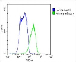Invitrogen NTCP Polyclonal Antibody 200 &mu;L; Unconjugated:Antibodies,