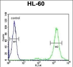 Invitrogen LMAN1L Polyclonal Antibody 400 &mu;L; Unconjugated:Antibodies,