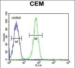 Invitrogen KIF24 Polyclonal Antibody 400 &mu;L; Unconjugated:Antibodies,