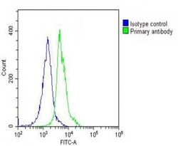 Invitrogen VLDLR Polyclonal Antibody 400 μL; Unconjugated:Antibodies,