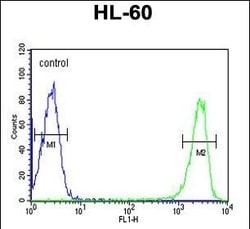 Invitrogen KIR2DS3 Polyclonal Antibody 400 &mu;L; Unconjugated:Antibodies,
