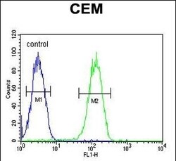 Invitrogen BIN2 Polyclonal Antibody 400 &mu;L; Unconjugated:Antibodies,