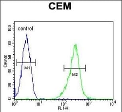Invitrogen KCNV1 Polyclonal Antibody 400 &mu;L; Unconjugated:Antibodies,