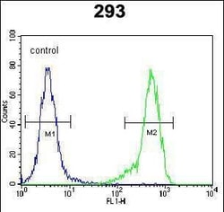 Invitrogen C4orf31 Polyclonal Antibody 400 &mu;L; Unconjugated:Antibodies,