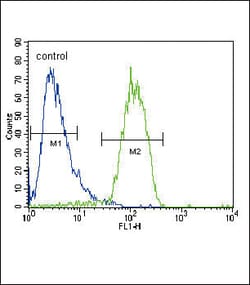 Invitrogen RASGRP1 Polyclonal Antibody 400 &mu;L | Buy Online | Invitrogen&trade; | Fisher Scientific